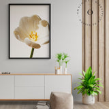 White Blossom Cuadro