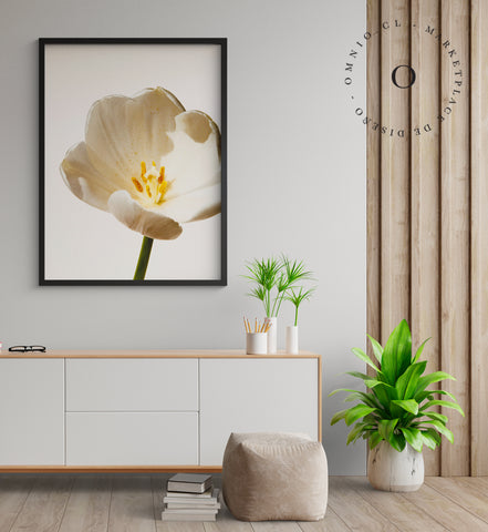 White Blossom Cuadro