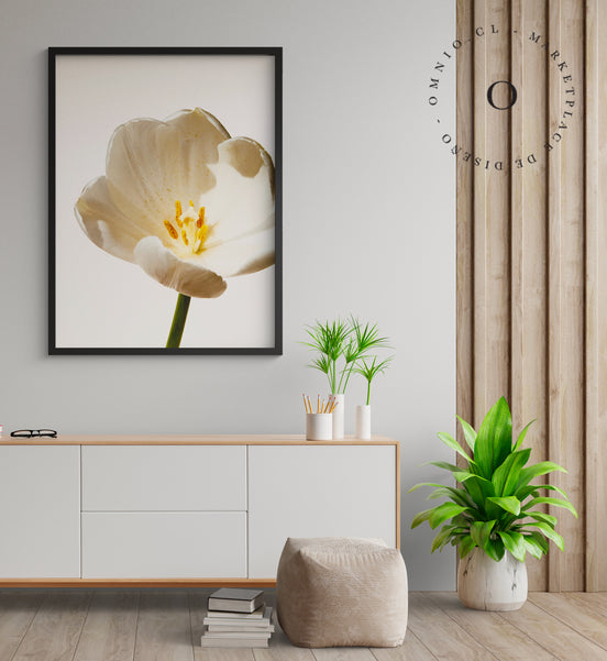 White Blossom Cuadro