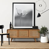 Chinita y Flor Black and White Cuadro