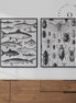 Drawing Insects Cuadro